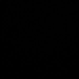 Meet your Posher, Eryn